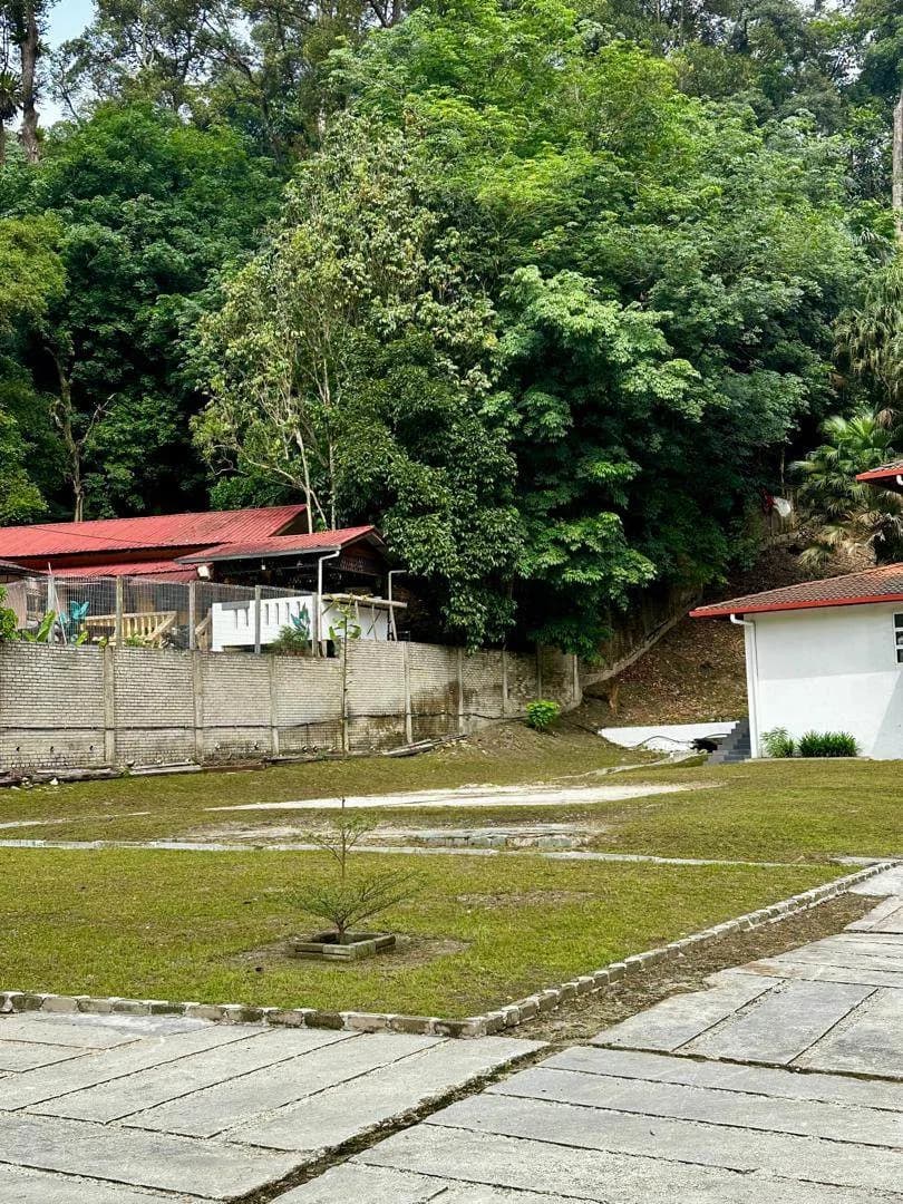 Photo 4