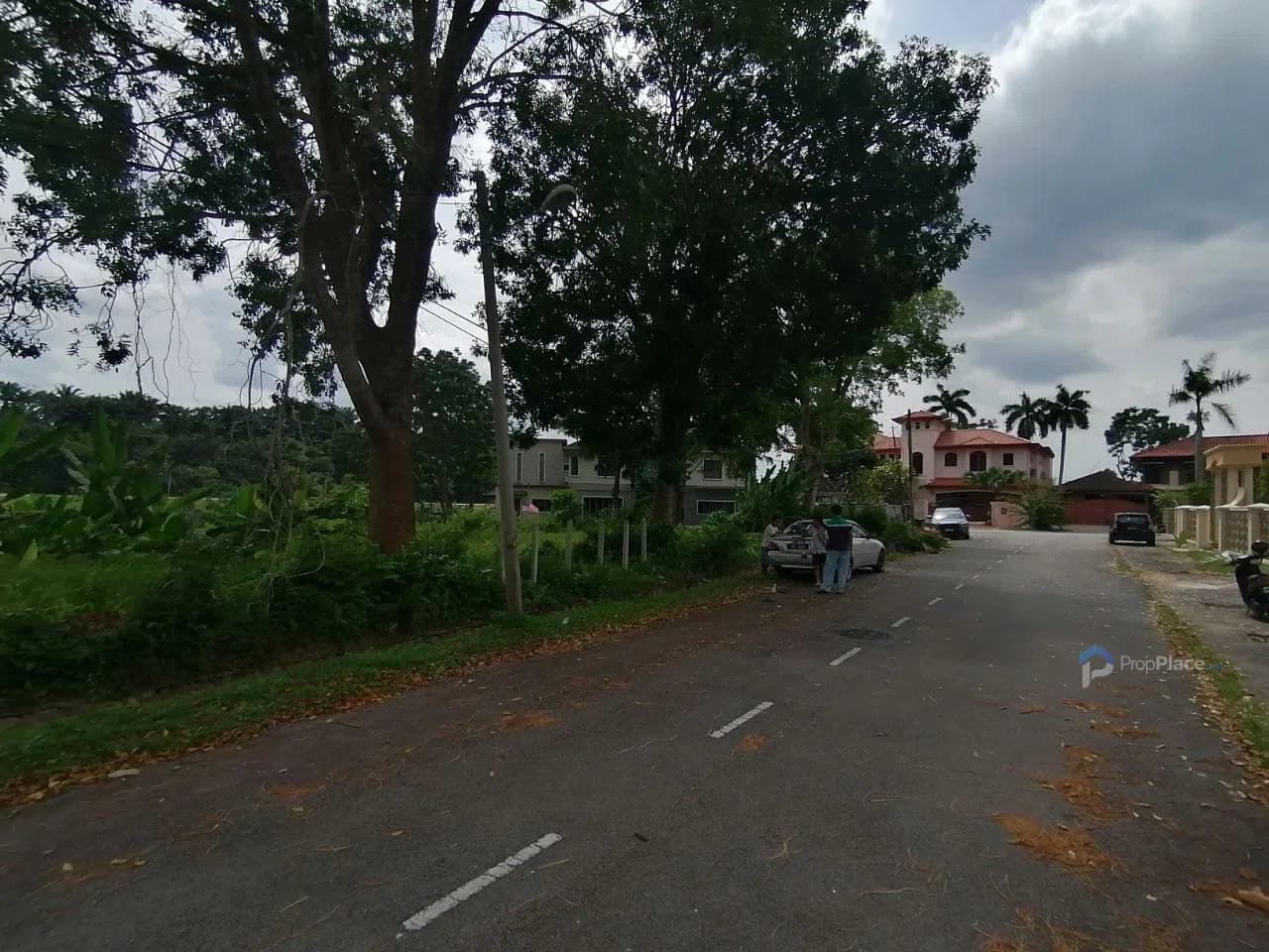 Main photo