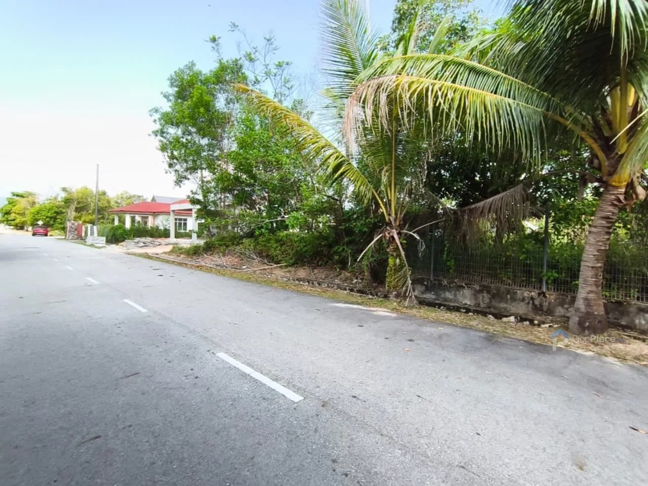 Main photo