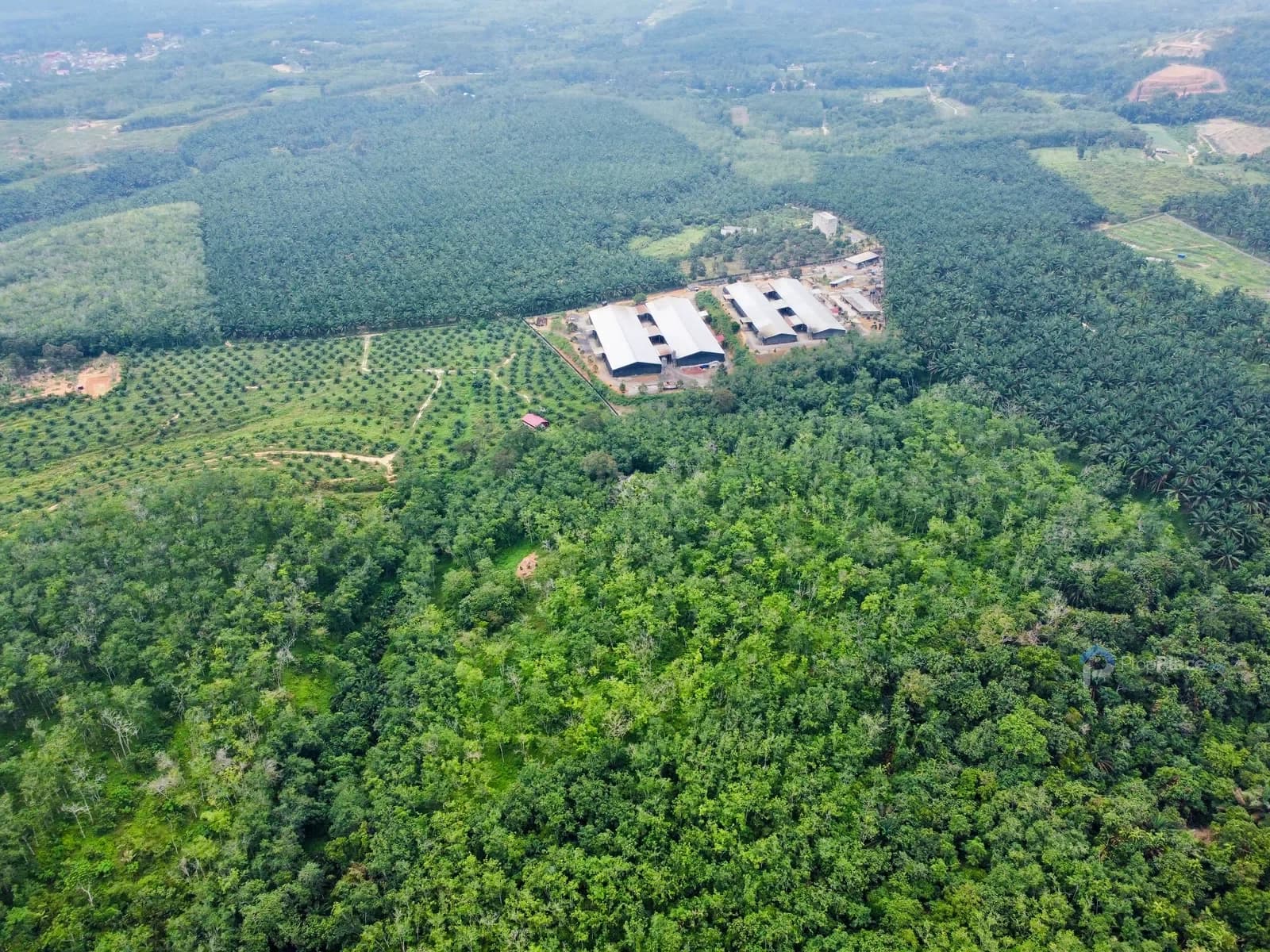 125 acres Agricultural Land for Sale in Johol