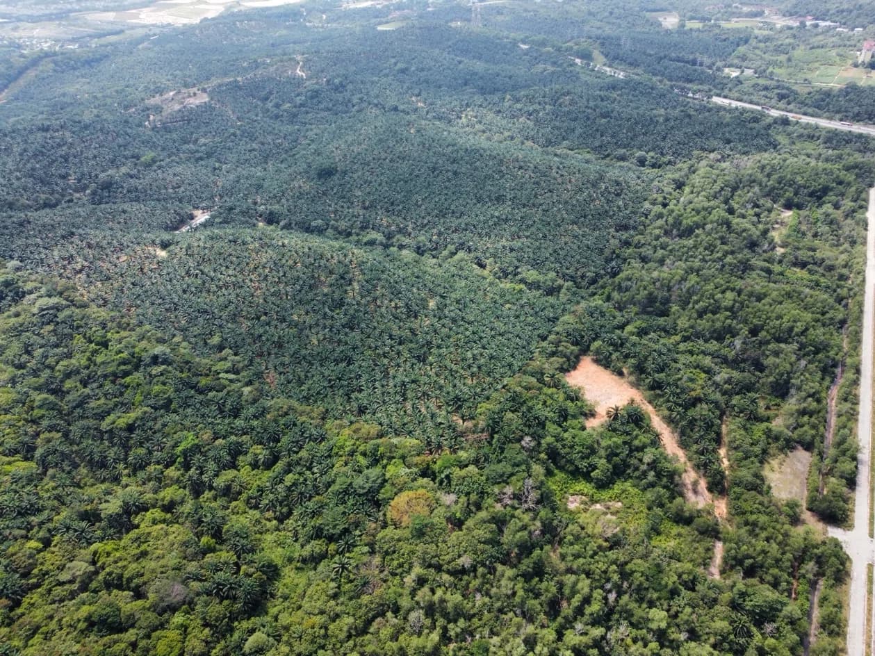 Nilai Development Land For SALE